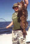Lingcod caught off the "Rockpile".